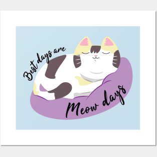 Best days are meow days Posters and Art